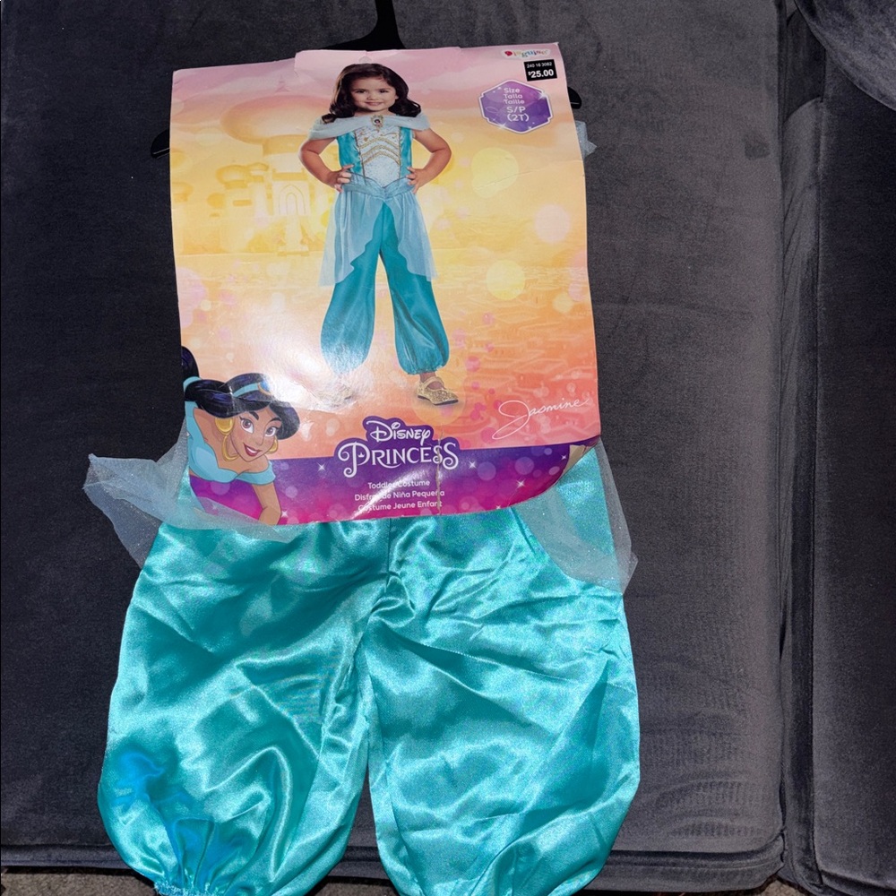 Disney Princess Jasmine Turquoise Costume